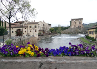 252 Borghetto sul Mincio