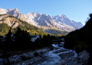 183 val ferret